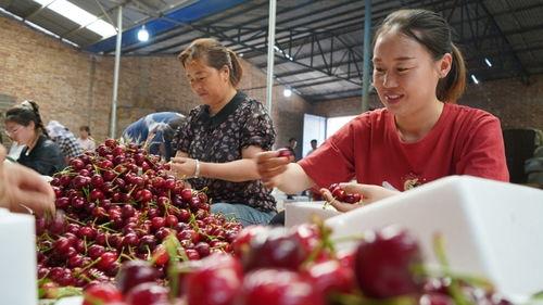 运城今日吃瓜新闻报道