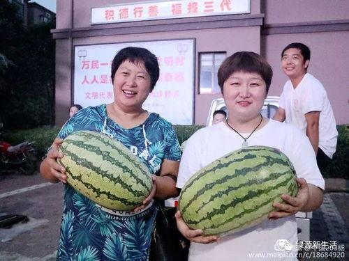 今日成都吃瓜汇总大全,今日热门美食事件汇总