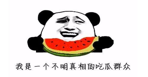 今日的吃瓜是什么意思,网络热词背后的文化现象