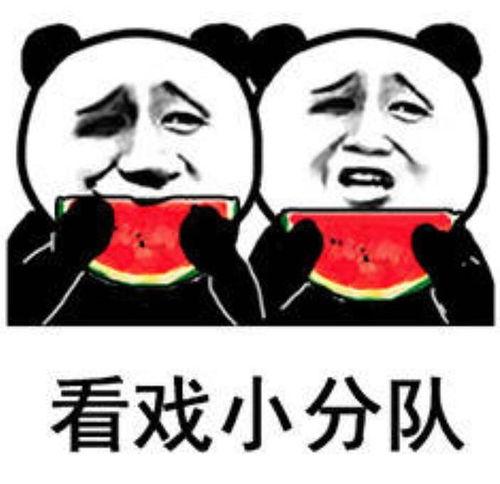 今日的吃瓜是什么意思,网络热词背后的文化现象