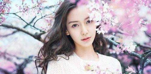 什么星座的明星网红多,揭秘哪个星座明星网红如云