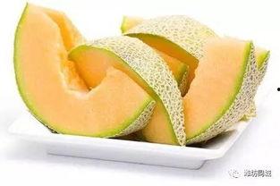 潍坊今日哈密瓜价格表最新