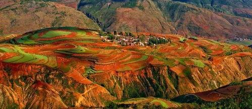 昆明东川明星网红是谁