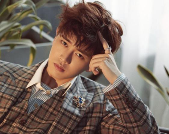 韩国帅哥明星网红有哪些,颜值与人气并存的美男子军团