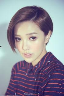 为什么明星网红不交税,背后的税务黑洞与行业现状