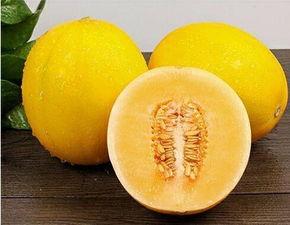 凤金蜜瓜今日行情,甜蜜价格波动，市场供需动态解析”