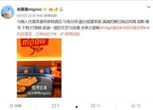 明星网红打卡过的武汉