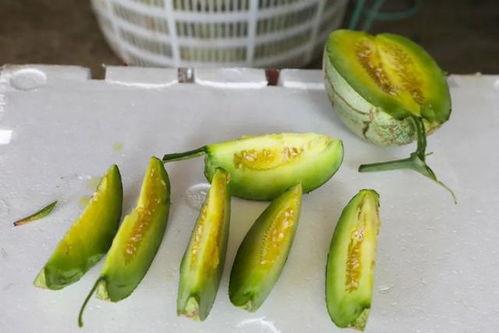 玉菇蜜瓜今日价格表最新,最新行情一览