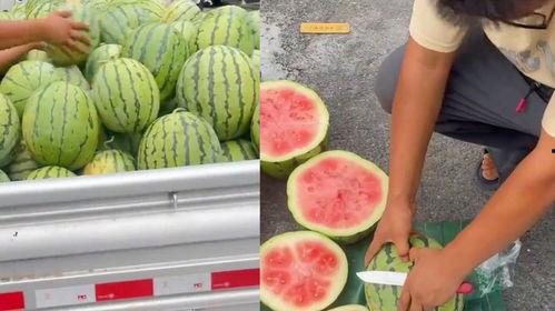 李村乐客城今日吃瓜,美食盛宴等你来尝