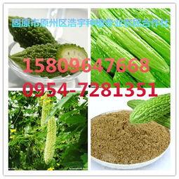 今日水瓜渣价格,市场行情一览