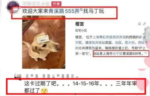 吃瓜假千金今日头条,今日头条热议事件背后的真相