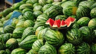 每日大赛吃瓜黑料,揭秘选手背后的吃瓜黑料风云