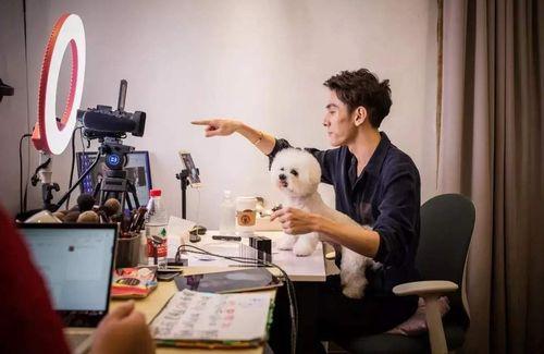 明星网红为啥都爱带货