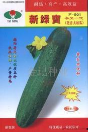 今日吊瓜行情价格表,价格波动下的市场动态