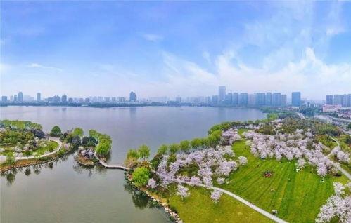 今日瓜渚湖,探寻江南水乡的宁静与美丽