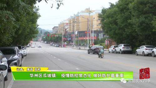 华洲区瓜坡今日新闻,今日新闻聚焦乡村振兴新动态