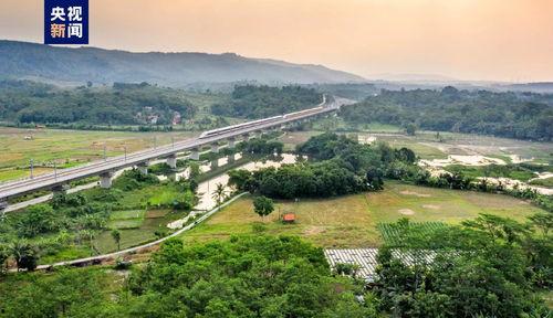 华洲区瓜坡今日新闻,今日新闻聚焦乡村振兴新动态