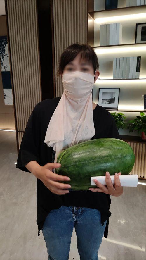 今日网上大瓜,揭秘娱乐圈最新“大瓜”事件