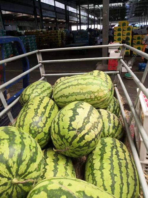 今日网上大瓜,揭秘娱乐圈最新“大瓜”事件