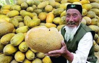 郑州万邦哈密瓜今日报价