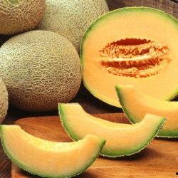 福州哈密瓜今日价格行情,价格行情一览”