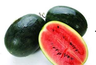 湖北网纹提瓜今日价格,行情稳中向好