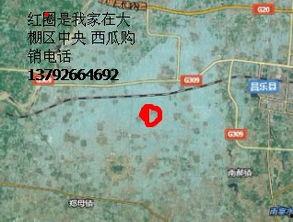 山东昌乐尧沟今日瓜价,瓜果飘香，价格走俏