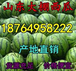 今日中瓜价格,市场供需影响显著